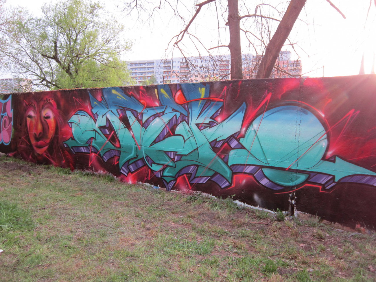 Graffiti Wall - Photo by Verstecker - stek, zwickau