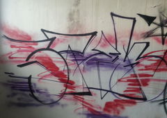 Photo #150829 by Belt