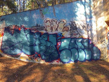 Graffiti Bombing in Сосновый Бор - Photo by Vestowerst (2015)