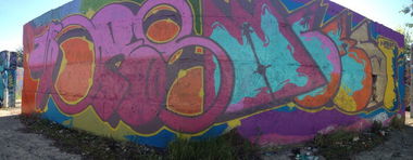 Graffiti Bombing - Photo by Vestowerst (2015)