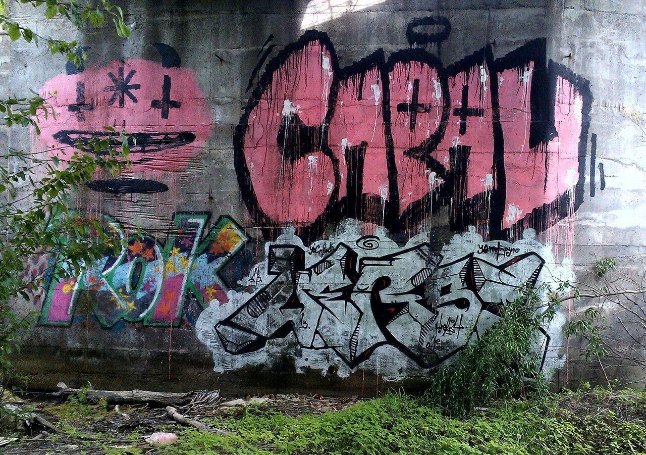 Graffiti Bombing - Photo by Vestowerst (2014)