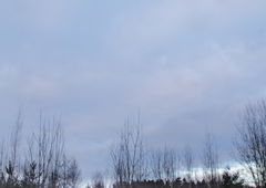 Photo #211666 by zwolli