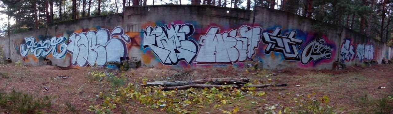 Graffiti Bombing - Photo by Vestowerst (2012)