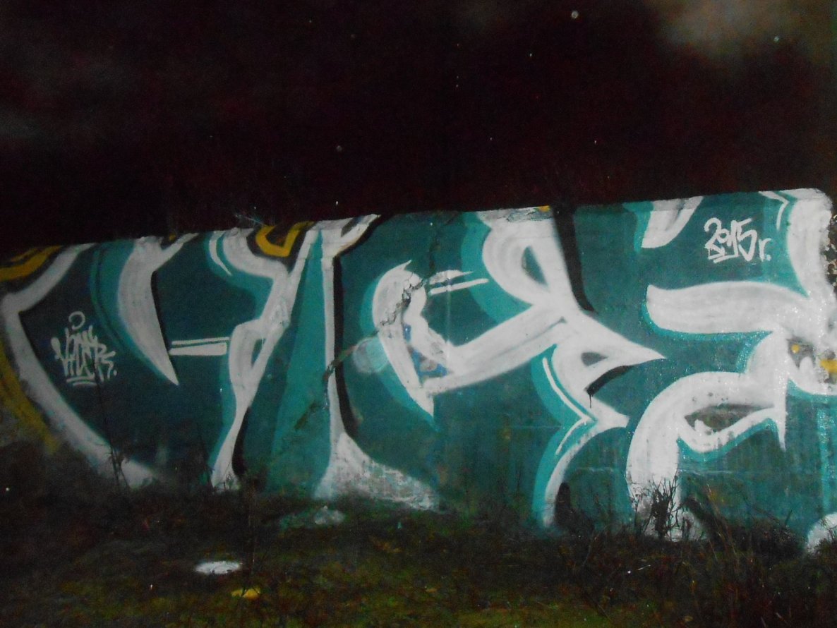 Graffiti Bombing - Photo by ViceSKBK - Vice, SKBK (2015)