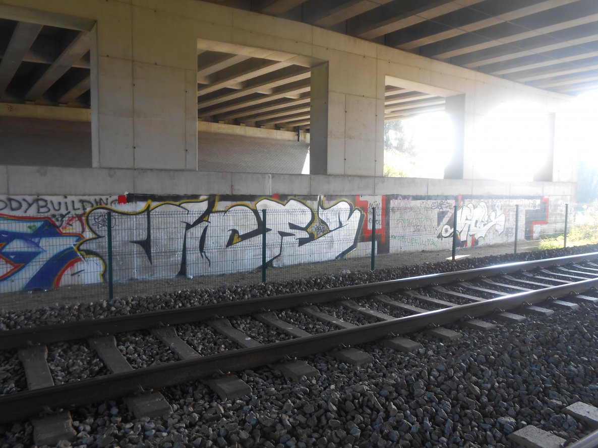 Graffiti Bombing - Photo by ViceSKBK - Vice, SK, BK (2013)