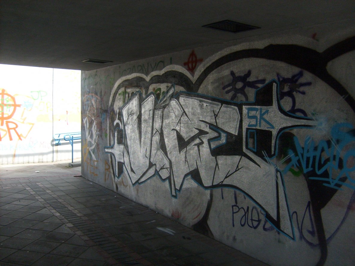 Graffiti Bombing - Photo by ViceSKBK - VICE, SK, BK (2012)