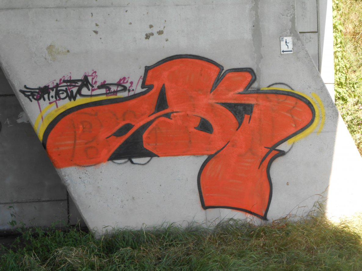 Graffiti Bombing - Photo by ViceSKBK - SK, VICE, BK (2013)
