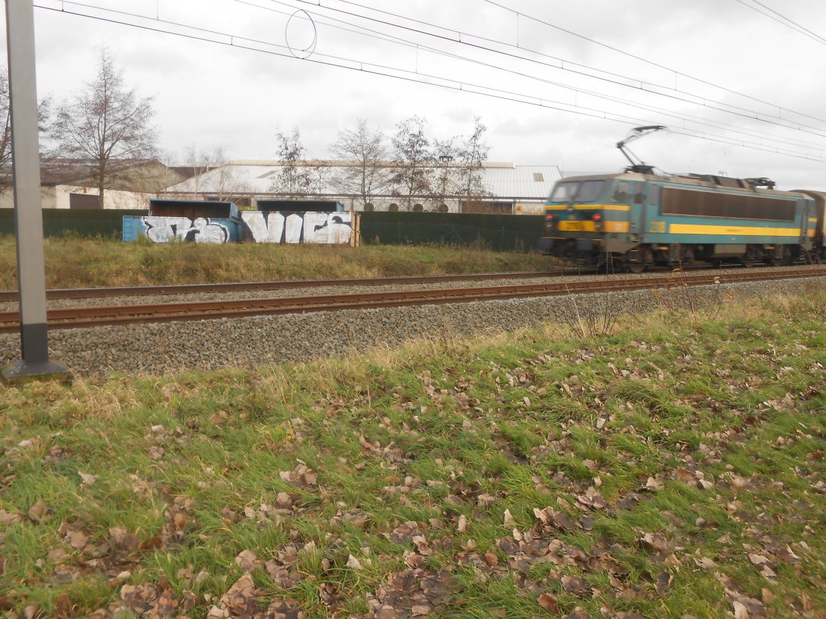 Graffiti Bombing in Roeselare - Photo by ViceSKBK - VICE, BKSK (2013)