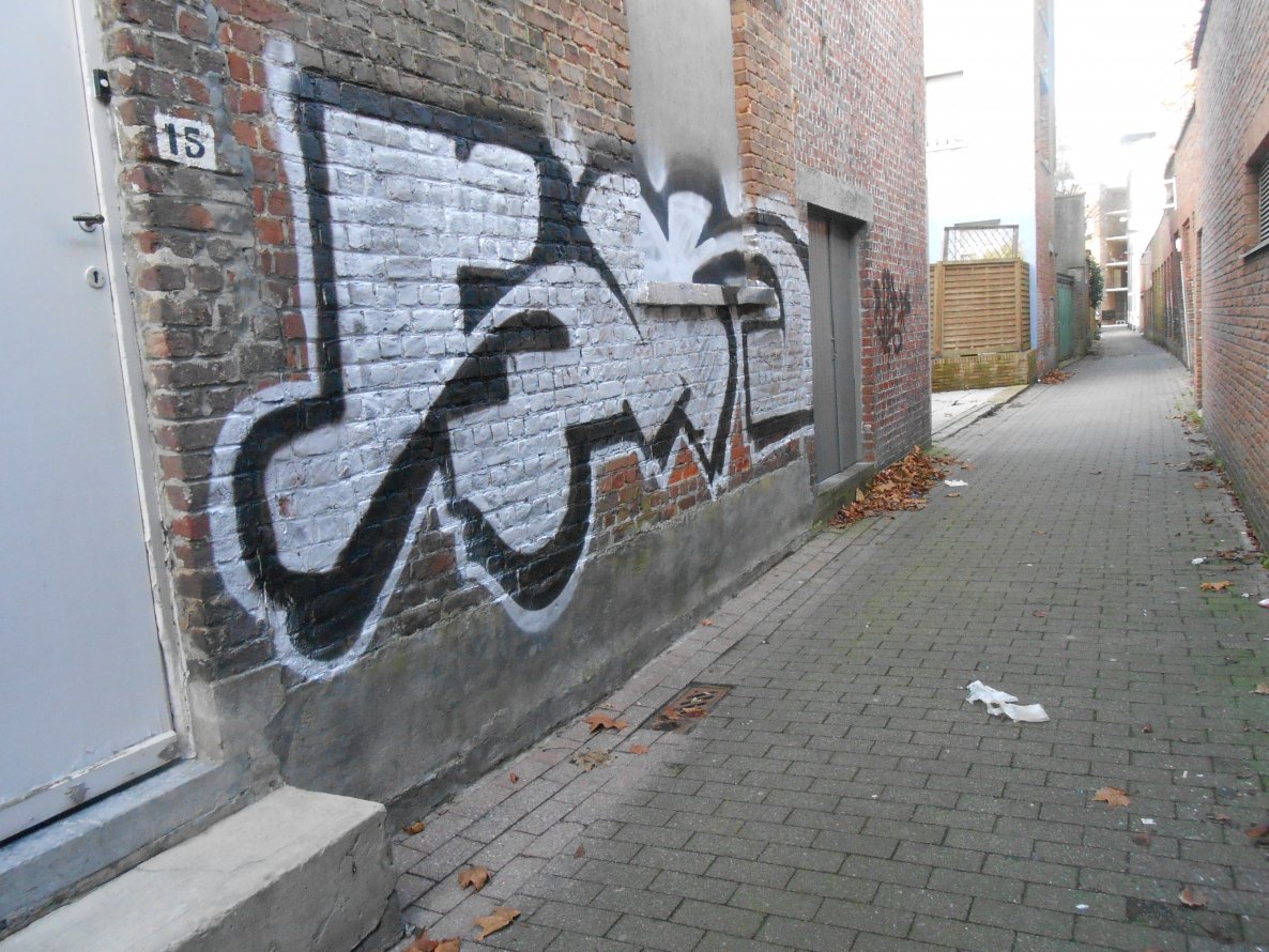 Graffiti Bombing - Photo by ViceSKBK - SK, VICE, SKBK (2013)