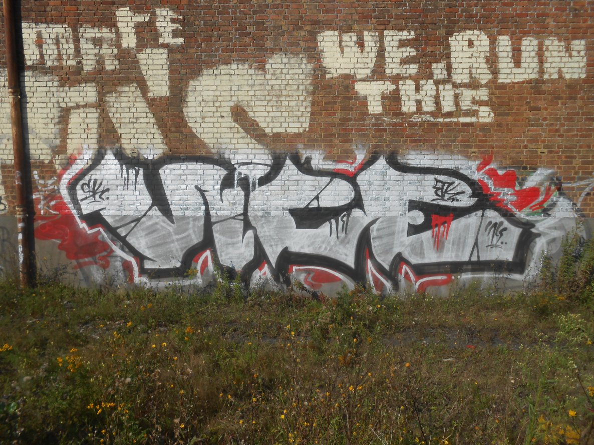 Graffiti Bombing - Photo by ViceSKBK - Vice, Sk, Bk (2014)