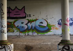 Photo #10292 by Nets1