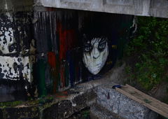 Photo #32676 by Nets1