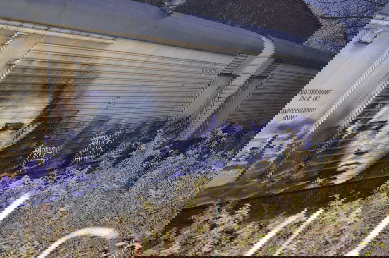 Graffiti Train in Moscow - Photo by Vie - vie (2013)