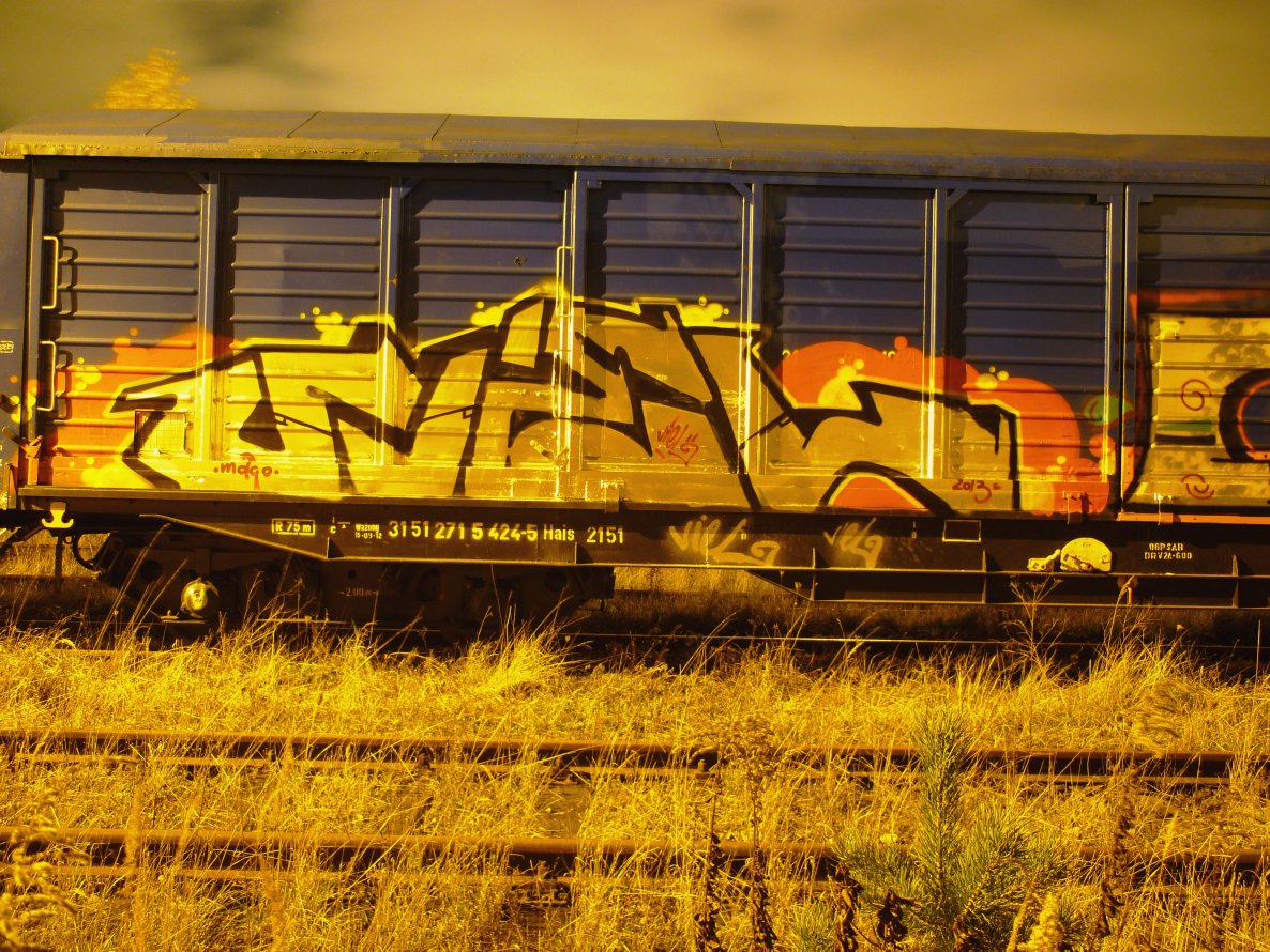 Graffiti Train - Photo by VielOne - fr8, bombing, viel (2013)