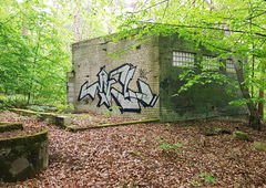 Photo #231456 by RomekOne