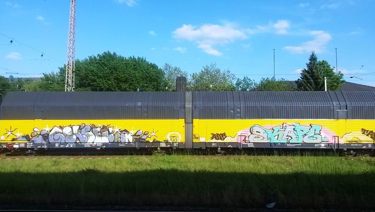 Graffiti Train - Photo by Vilsaa - freight, gelce, skape