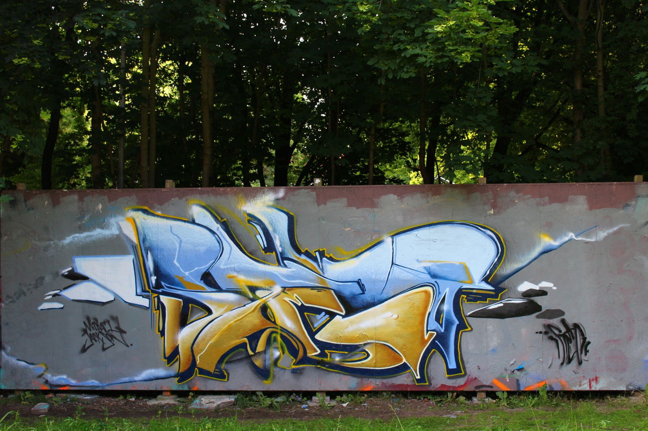 Graffiti Photo by Vilsaa - steo, hall, wald