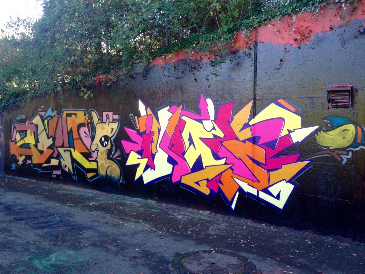 Graffiti Wall in Basel - Photo by Vinc13 - Zem, LCS, FYA (2014)