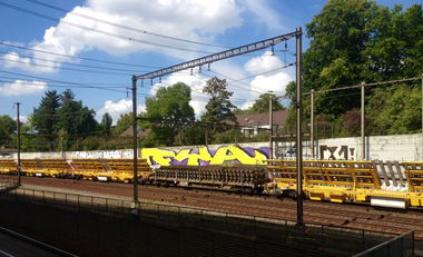 Graffiti Train in Basel - Photo by Vinc13 - FYA, Fuck, You