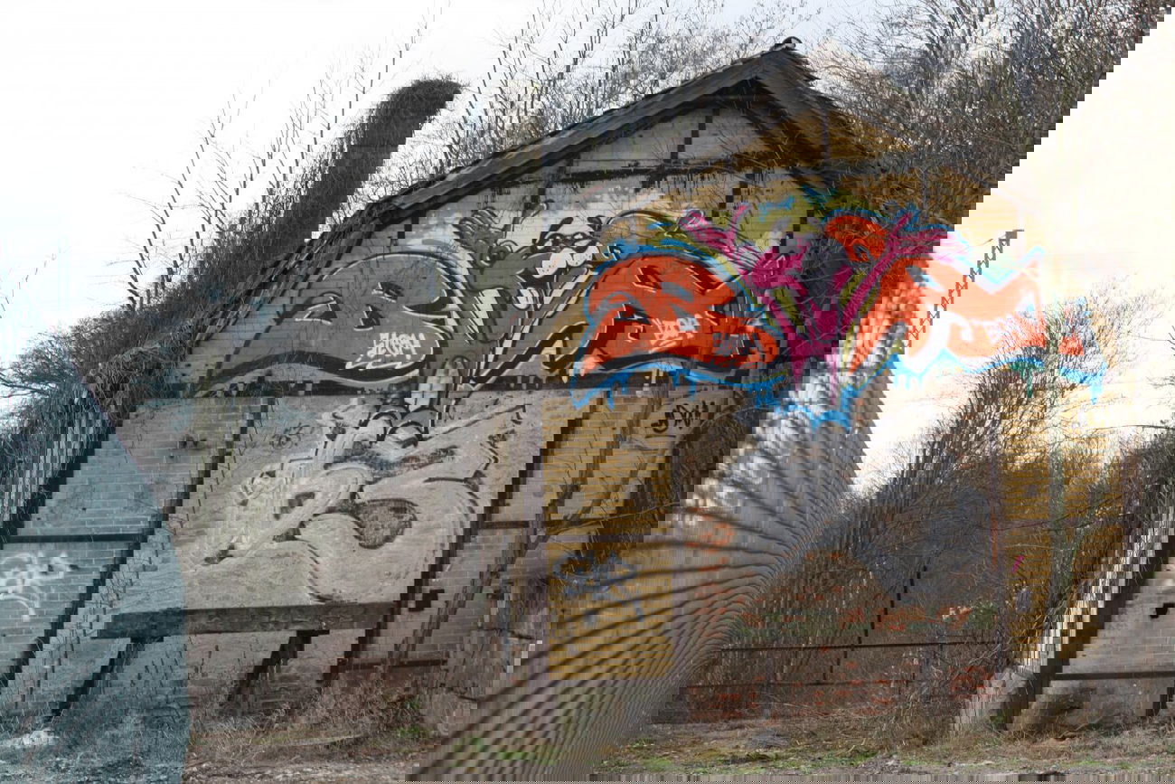 Graffiti Wall - Photo by VincentVega - boa, stem, 163