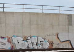 Photo #68939 by TheWallHunter