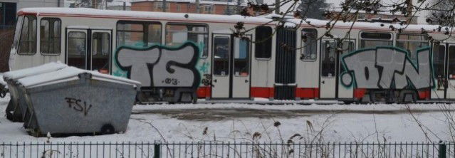 Graffiti Train in Zwickau - Photo by Virus_ - tg, otn, virus (2012)