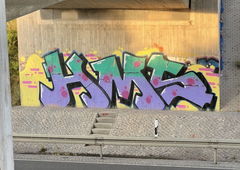 Graffiti Bombing in Deutschland - Photo by Virus_ - HMSTWRZwickau