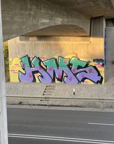 Graffiti Bombing in Deutschland - Photo by Virus_ - HMSTWRZwickau