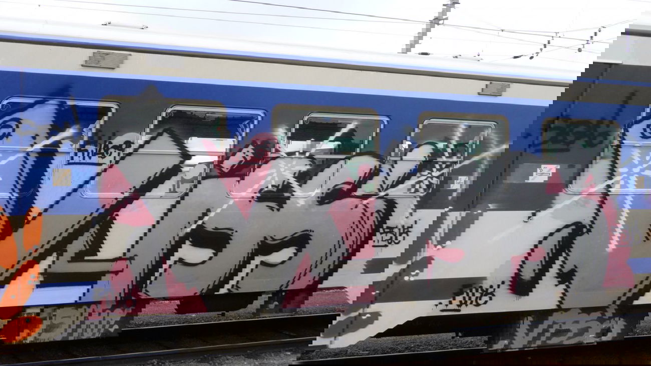 Graffiti Train in Vienna - Photo by Viss - viss.. (2013)