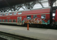 Photo #34232 by TheWallHunter