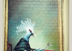 Photo #7476 by Osnova