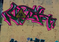 Photo #153382 by Anis