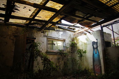 Graffiti Wall - Photo by WACHESAUGE - mainz, wiesbaden, streetart