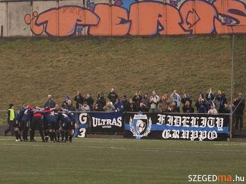 Graffiti Bombing - Photo by WANTED97