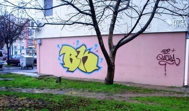 Graffiti Bombing - Photo by WANTED97