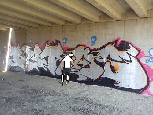 Graffiti Bombing - Photo by WANTED97