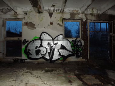 Graffiti Bombing - Photo by WANTED97