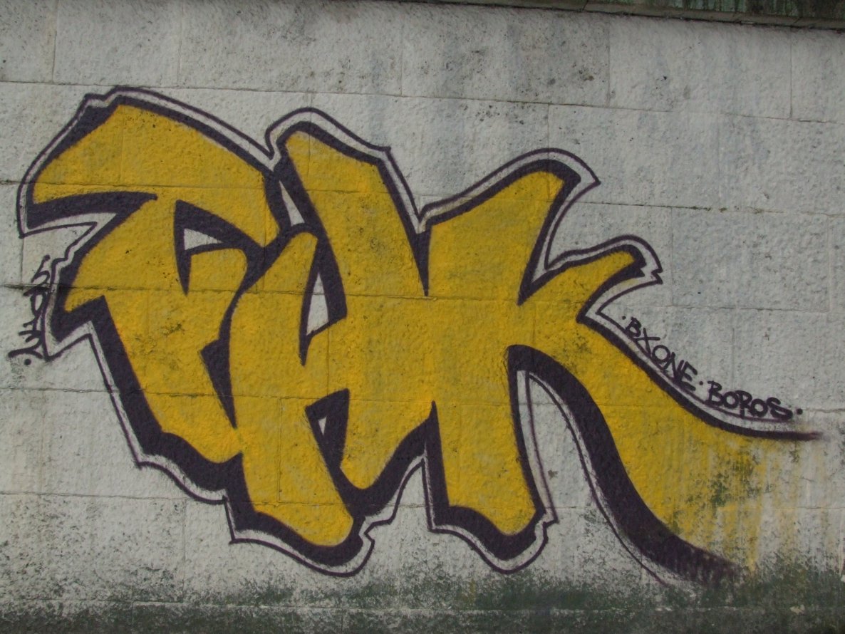 Graffiti Bombing - Photo by WANTED97