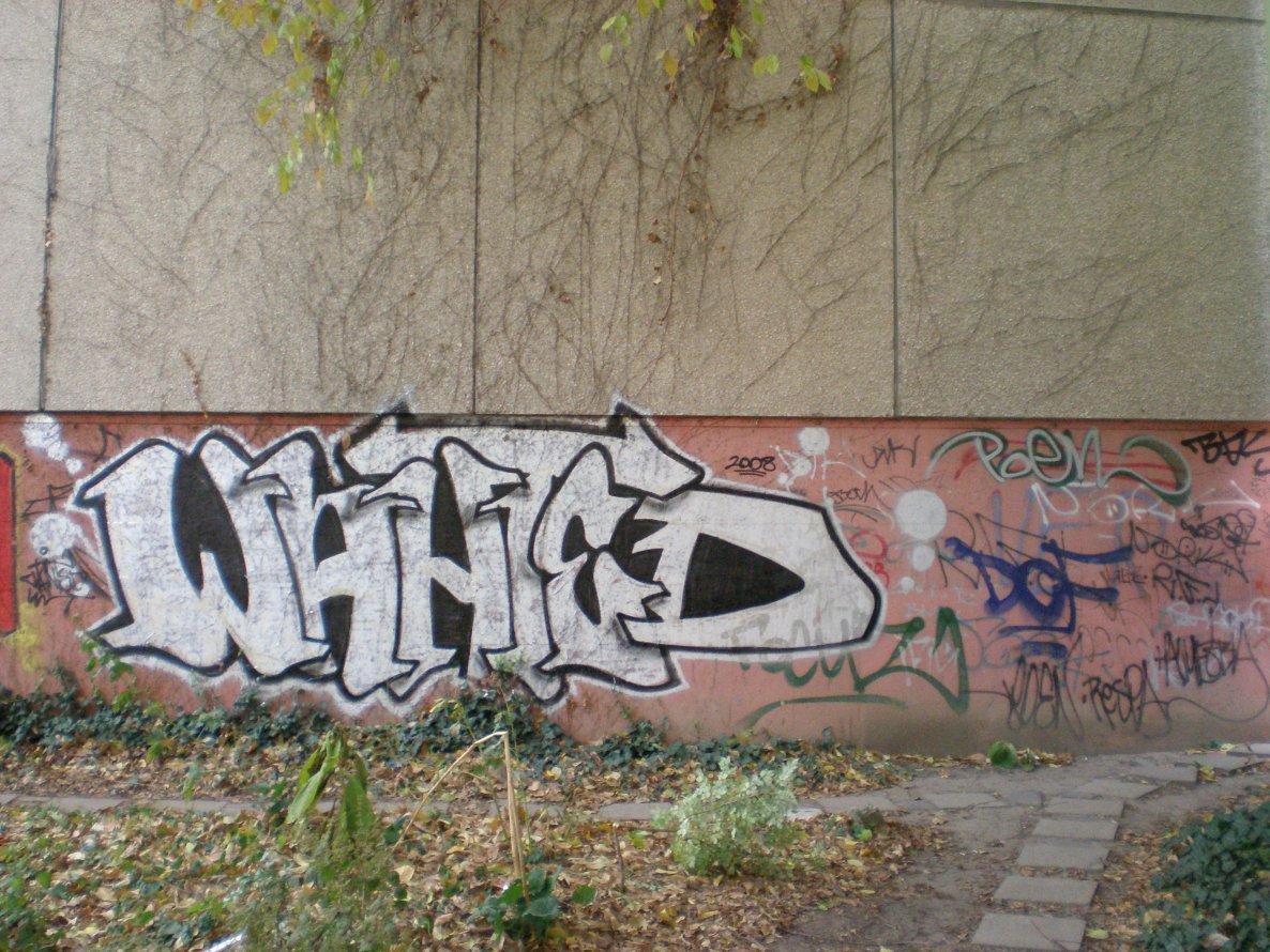 Graffiti Bombing - Photo by WANTED97