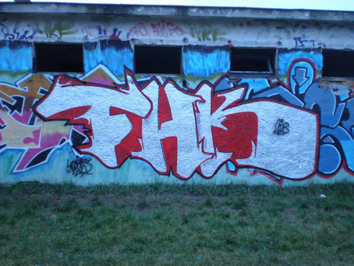 Graffiti Bombing - Photo by WANTED97