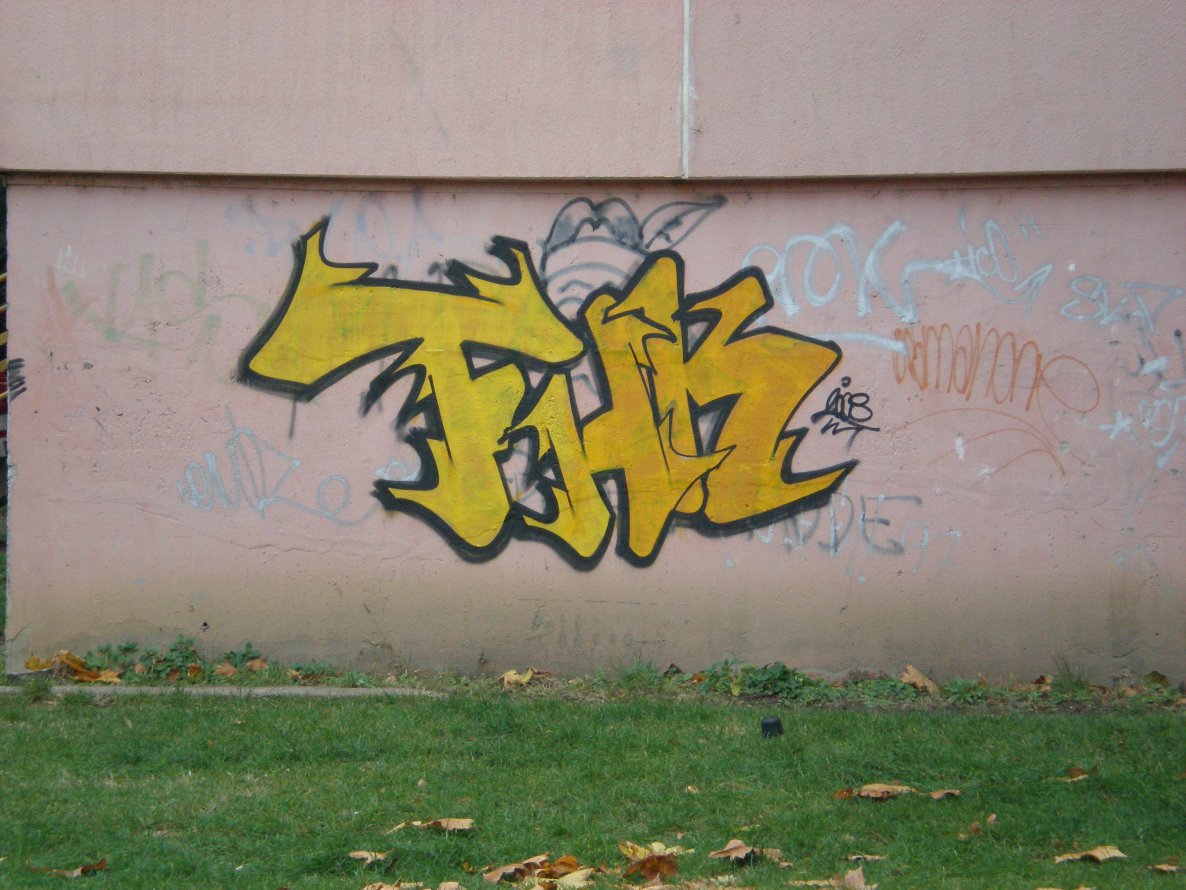 Graffiti Bombing - Photo by WANTED97