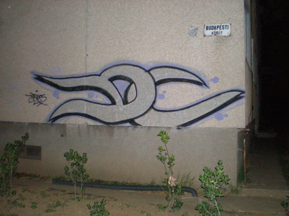 Graffiti Bombing - Photo by WANTED97