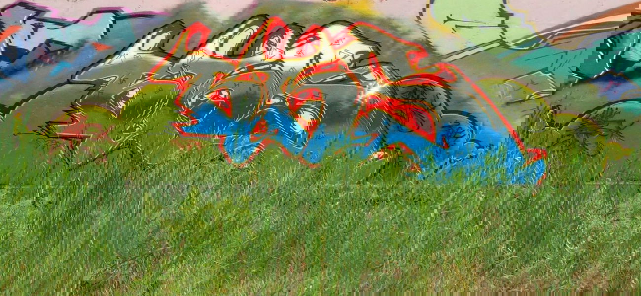 Graffiti Wall - Photo by WANTED97