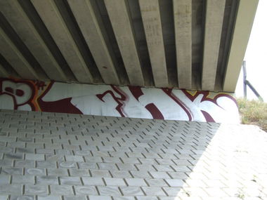 Graffiti Bombing - Photo by WANTED97