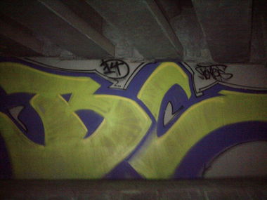 Graffiti Bombing - Photo by WANTED97