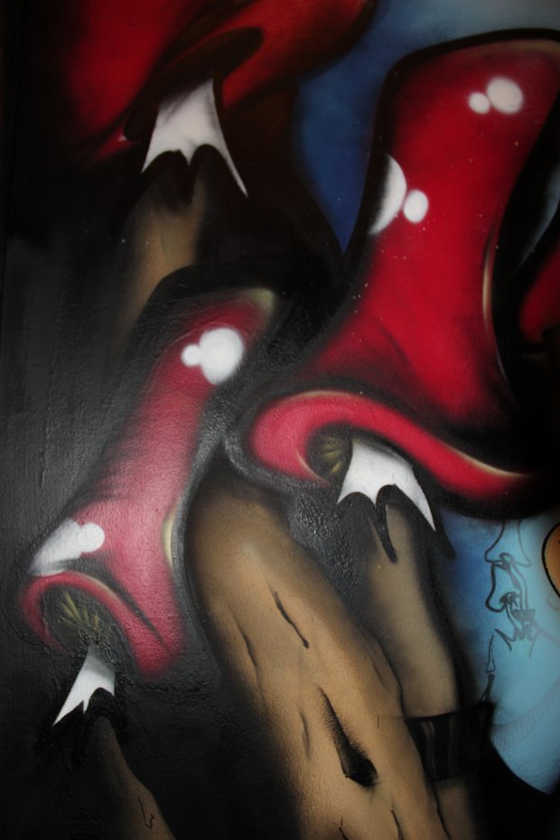 Graffiti Wall - Photo by WANTED97