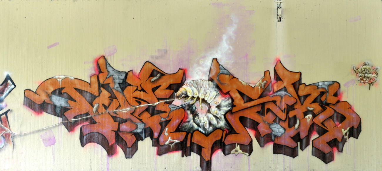 Graffiti Wall in Augsburg - Photo by WESK17 - wesk, Augsburg, B17 (2015)