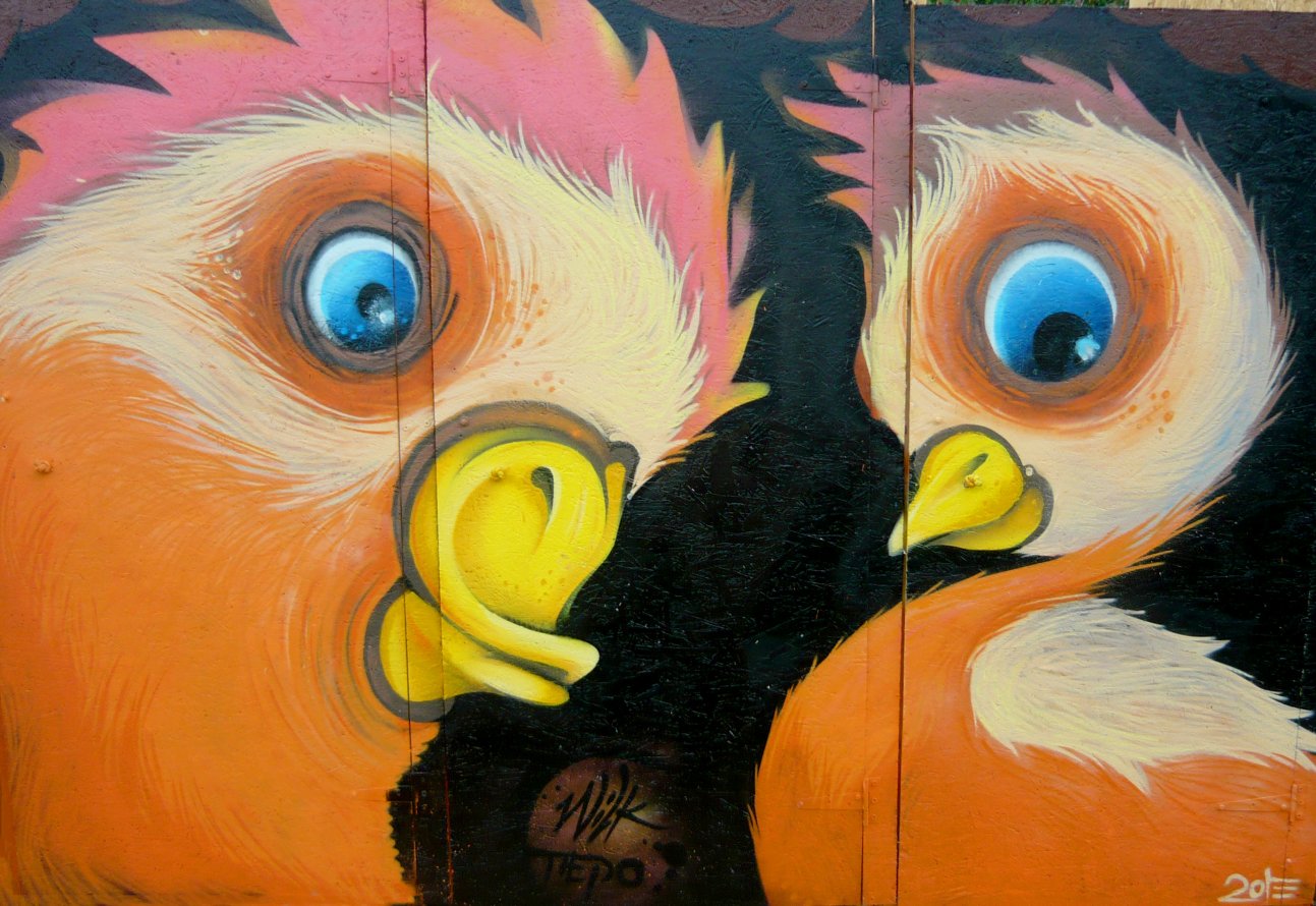 Graffiti Wall in Voditsa - Photo by WILK - wilk, ducks (2013)