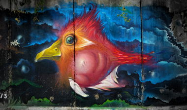 Graffiti Wall in Popovo - Photo by WILK - fish, bird (2013)