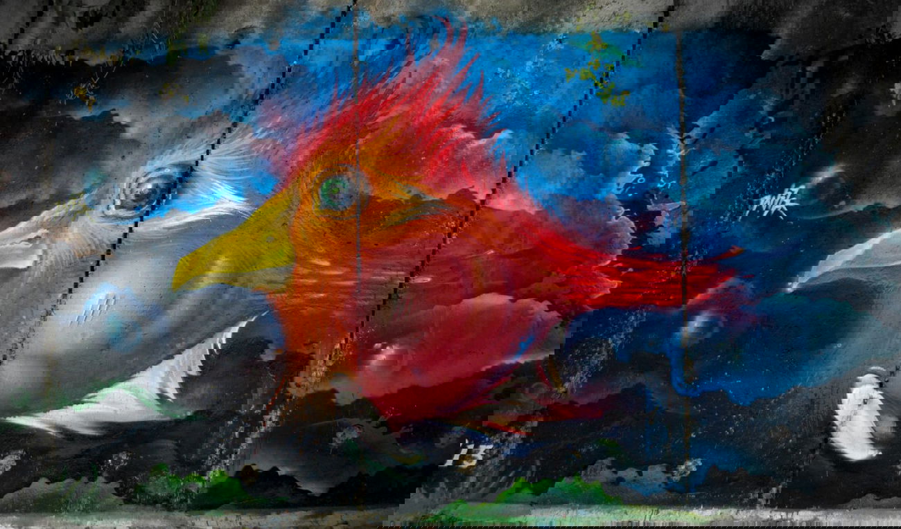 Graffiti Wall in Popovo - Photo by WILK - fish, bird (2013)